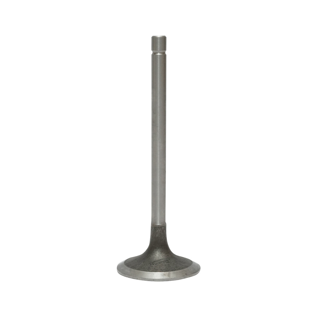 Intake valve for Fiat, Massey Ferguson, Case IH OEM code 4784888, 4803805, 4824417, 500300570, 78500003, 82982109, 98403097, 98435622, 98473704, 1908408, 4771023